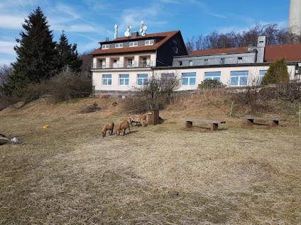 Berggasthof Zum Steira Schotten Extérieur photo